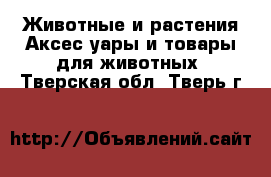 Животные и растения Аксесcуары и товары для животных. Тверская обл.,Тверь г.